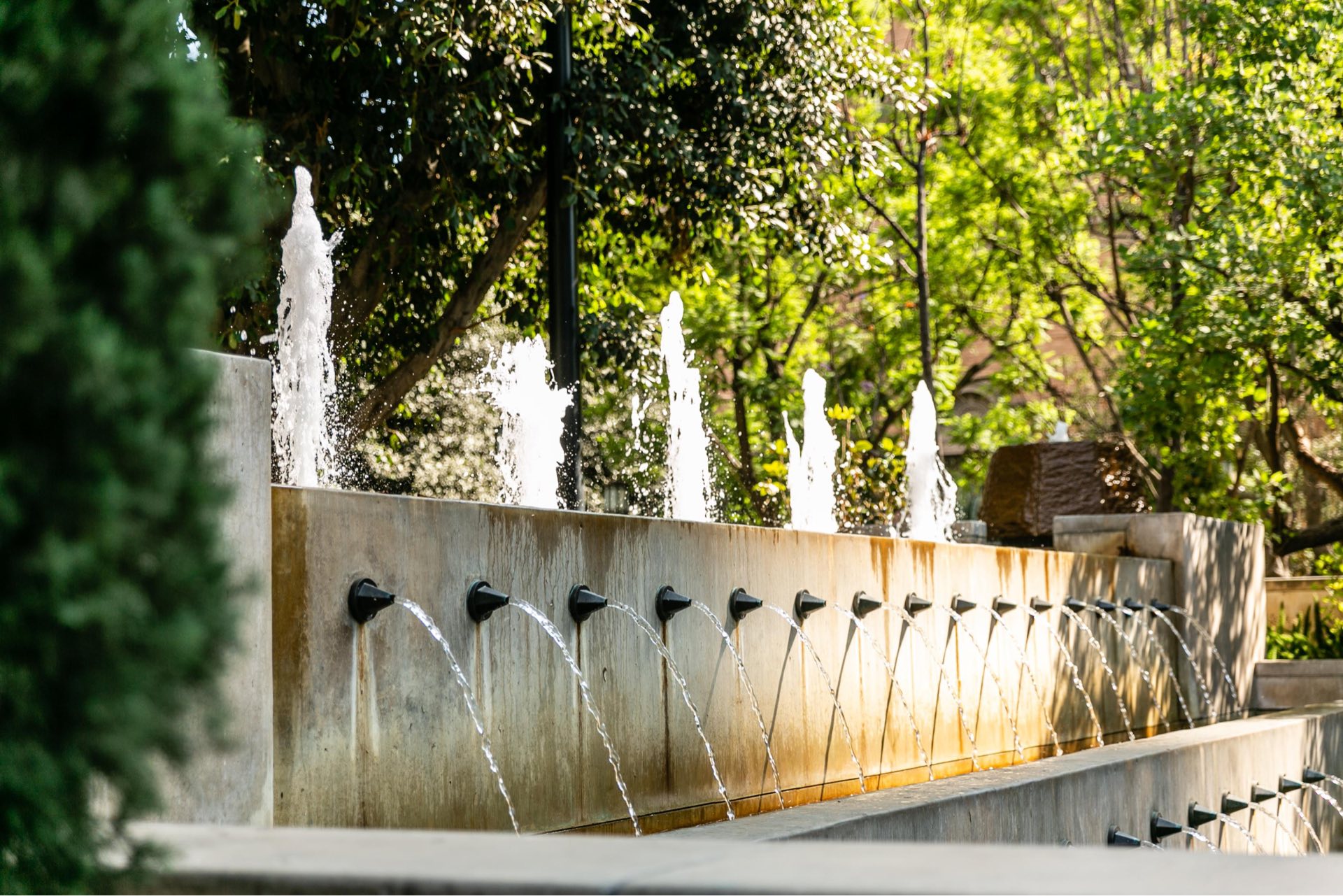 Maguire Gardens fountain